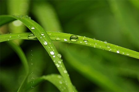 书法网站大全，让你欣赏书法一键直达