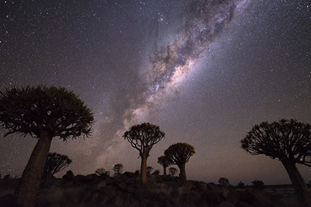 硬笔临钟繇《力命表》-书法品品