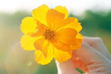 田蕴章《书谱》精要讲解-书法品品