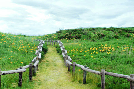 《楷书鼻祖—钟繇》-书法品品