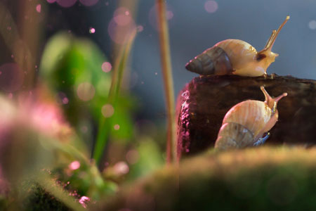 开宗立派的大家黄庭坚-书法品品